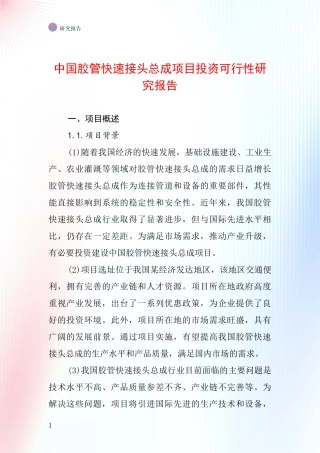 中国胶管快速接头总成项目投资可行性研究报告