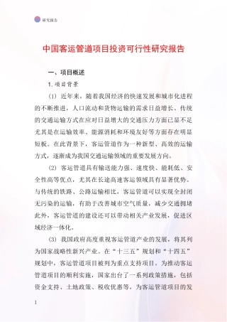 中国客运管道项目投资可行性研究报告