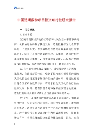 中国透明散粉项目投资可行性研究报告