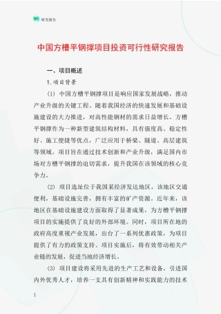 中国方槽平钢撑项目投资可行性研究报告