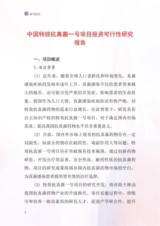 中国特效抗真菌一号项目投资可行性研究报告