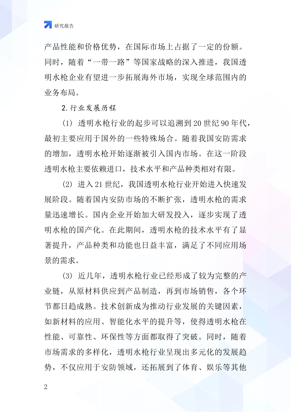 透明水枪行业深度研究报告_第2页