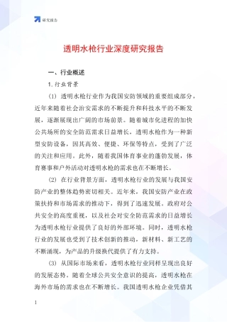 透明水枪行业深度研究报告