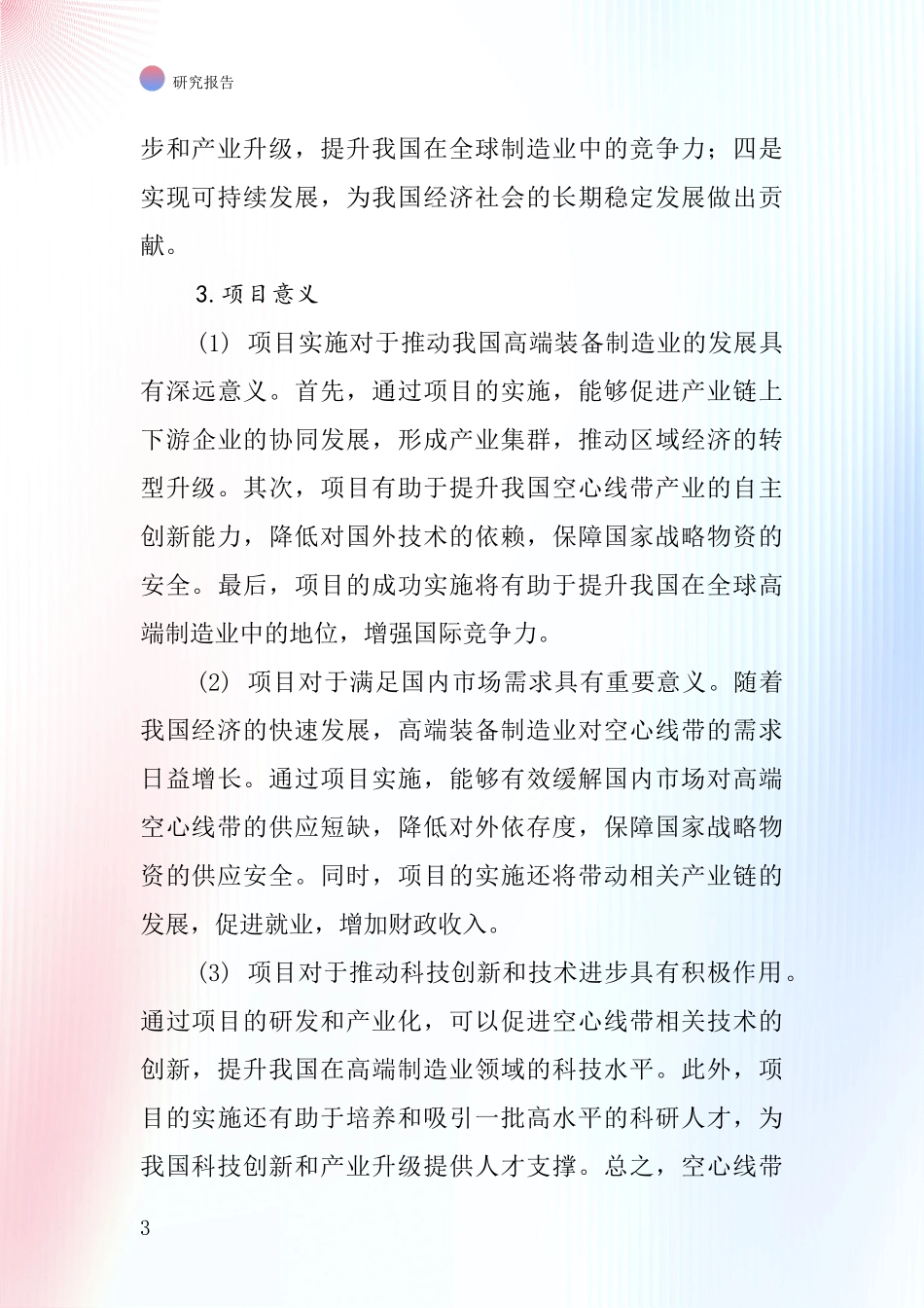 中国空心线带项目投资可行性研究报告_第3页