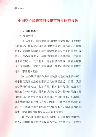 中国空心线带项目投资可行性研究报告