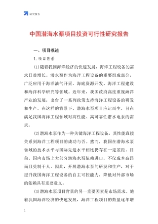 中国潜海水泵项目投资可行性研究报告