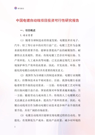 中国电镀自动线项目投资可行性研究报告