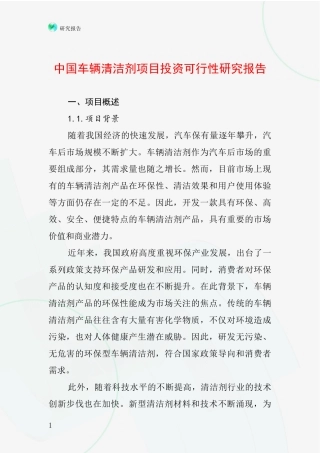 中国车辆清洁剂项目投资可行性研究报告