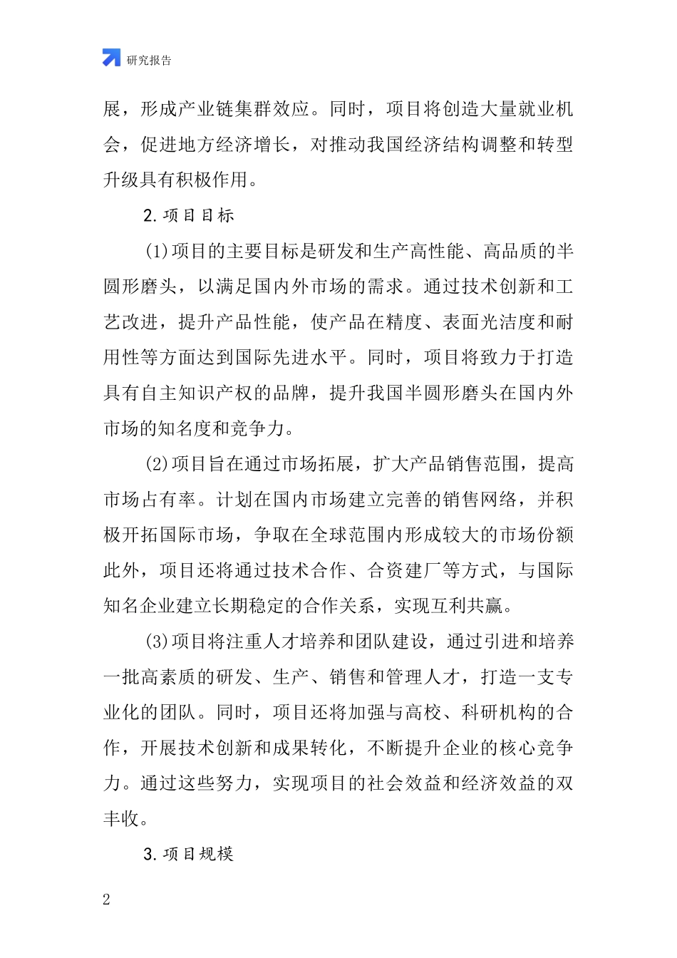 中国半圆形磨头项目投资可行性研究报告_第2页