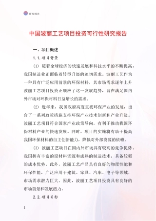 中国波丽工艺项目投资可行性研究报告