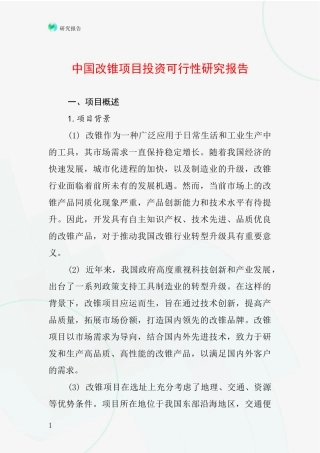 中国改锥项目投资可行性研究报告