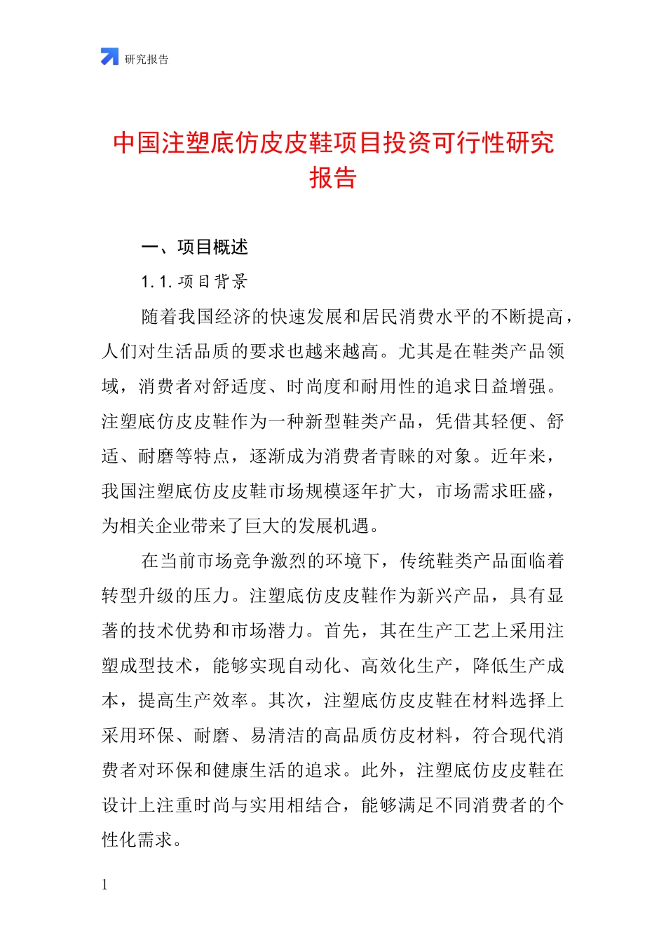 中国注塑底仿皮皮鞋项目投资可行性研究报告_第1页