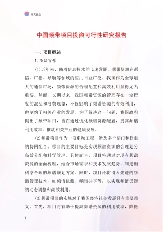 中国频带项目投资可行性研究报告