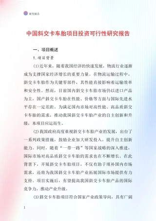 中国斜交卡车胎项目投资可行性研究报告