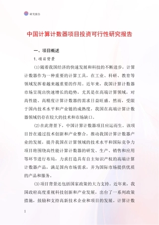 中国计算计数器项目投资可行性研究报告
