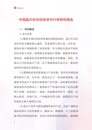 中国晶片的项目投资可行性研究报告