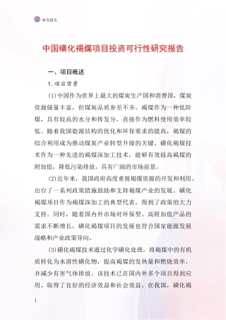 中国磺化褐煤项目投资可行性研究报告