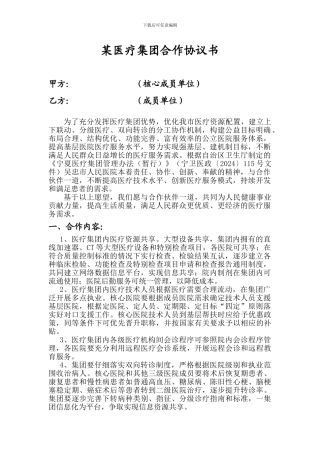 某医院集团协议书