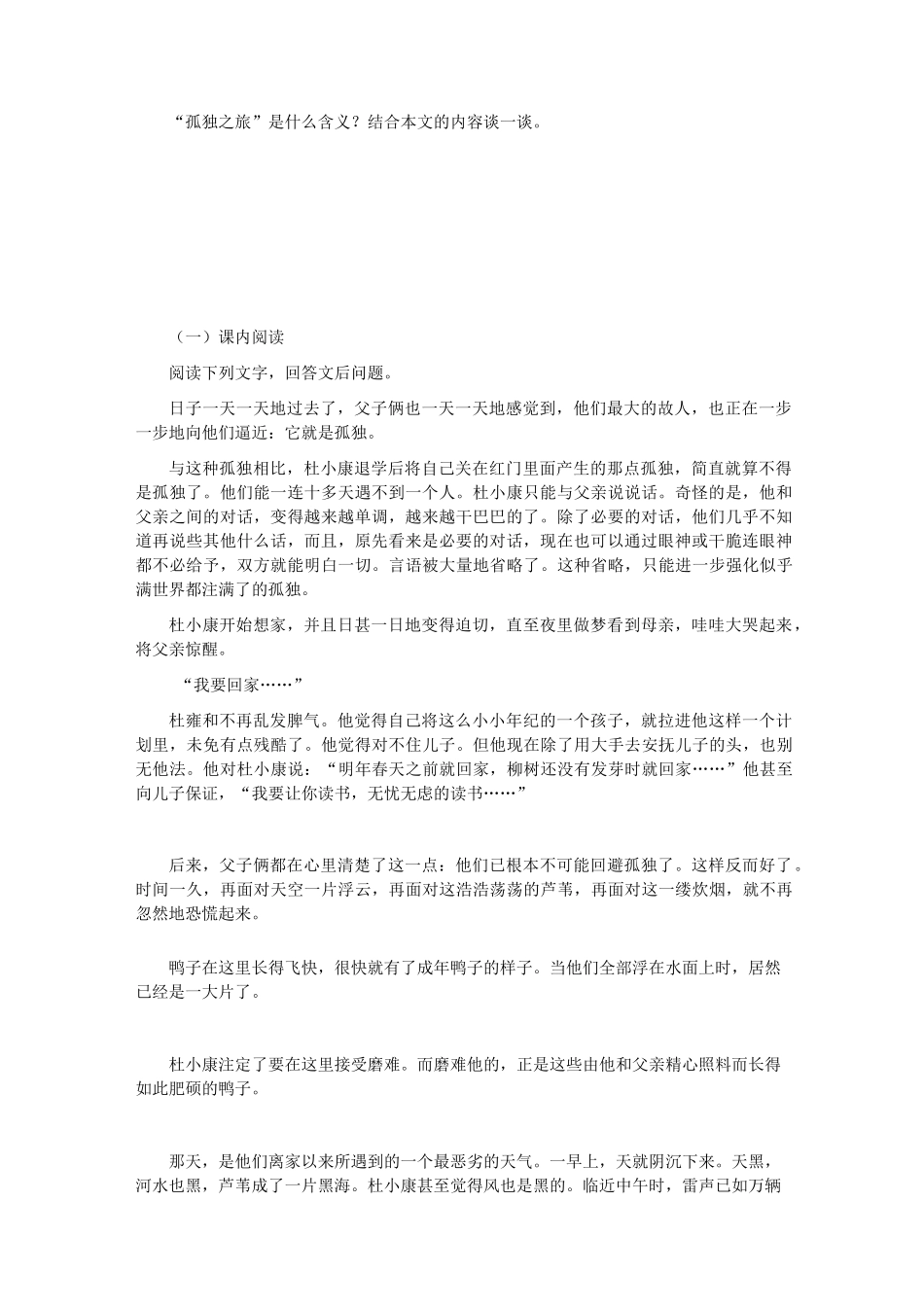 《孤独之旅》练习题及答案_第2页