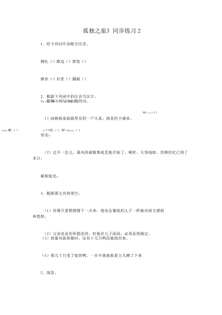 《孤独之旅》练习题及答案