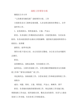 迎检工作领导小组
