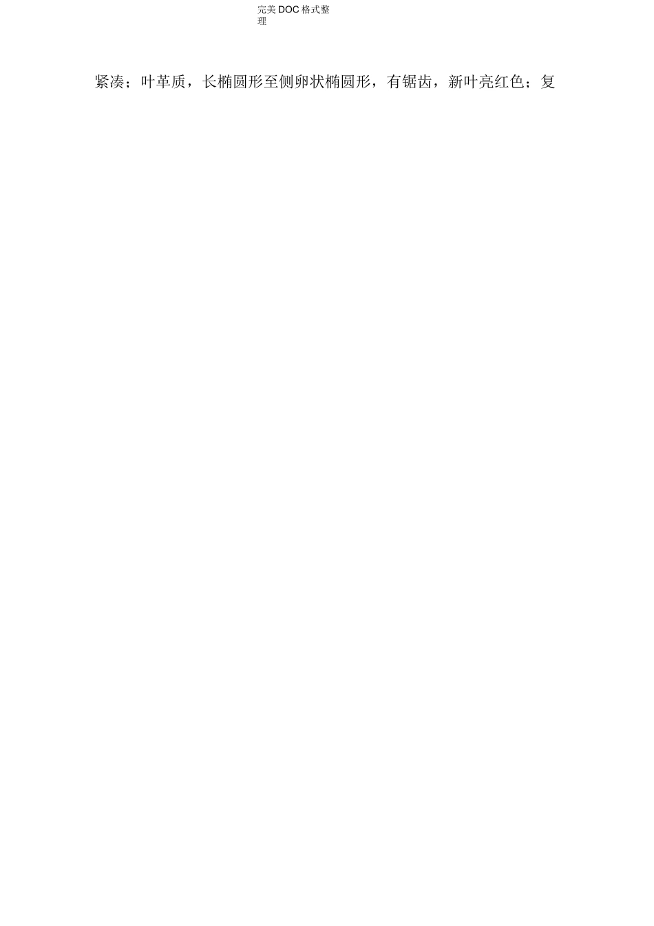 红叶石楠种植技术_第2页