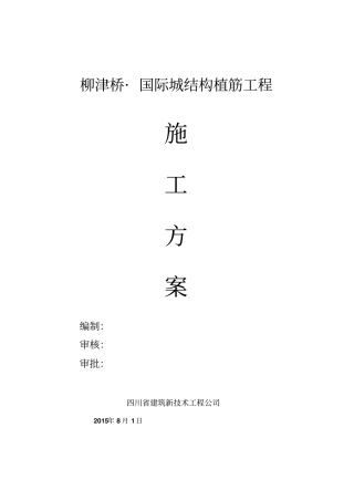 结构植筋施工专业技术方案