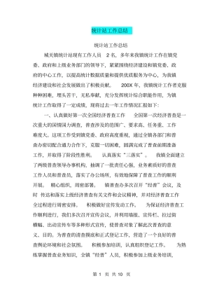 统计站工作总结【可编辑版】