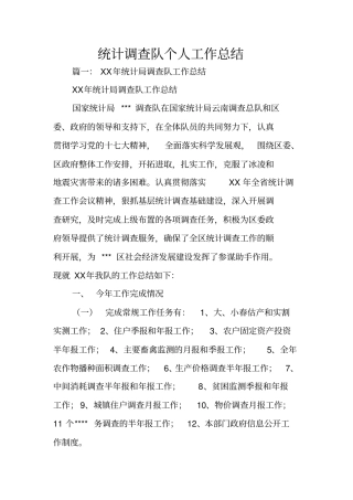 统计调查队个人工作总结