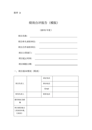 绩效自评报告模版