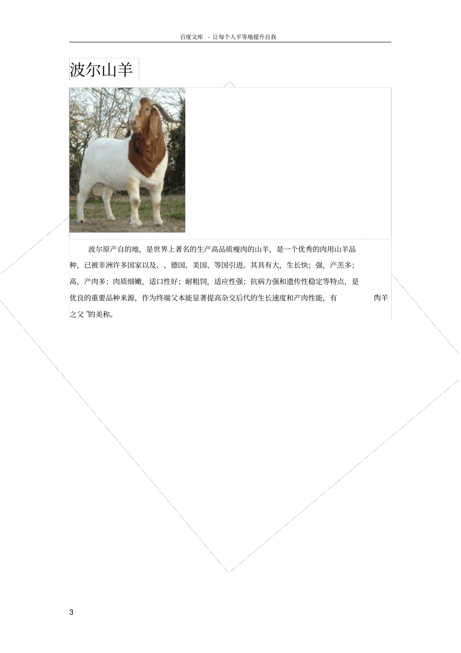 绵羊山羊品种及简介_第3页