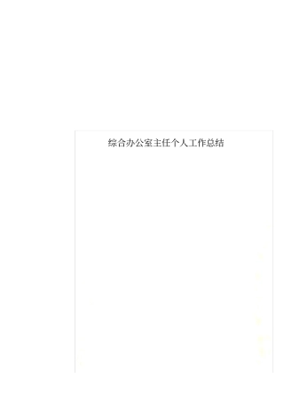 综合办公室主任个人工作总结