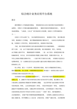 综合统计业务应用平台系统