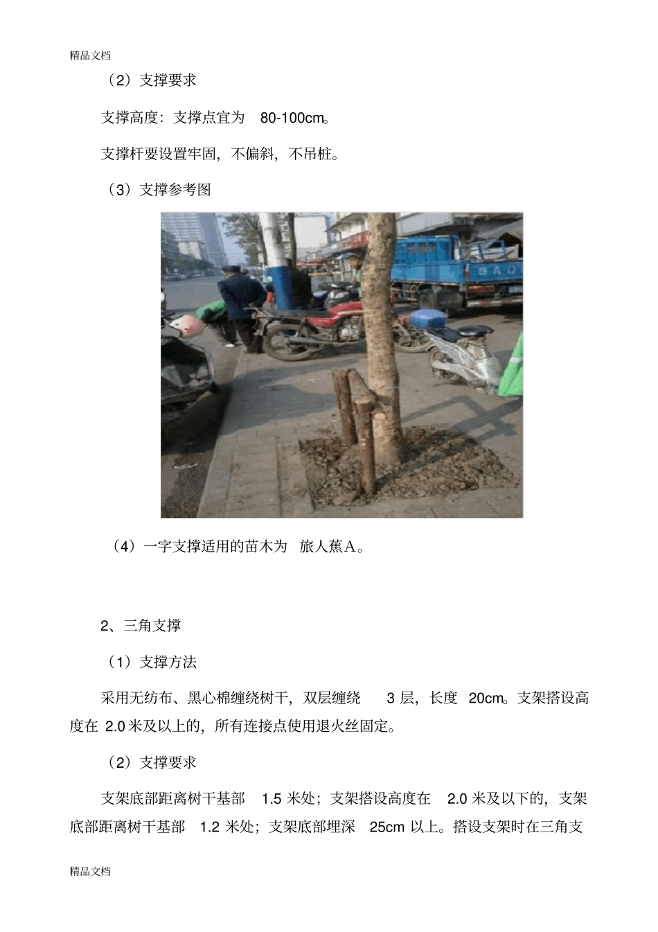 绿化支撑方案知识讲解_第2页