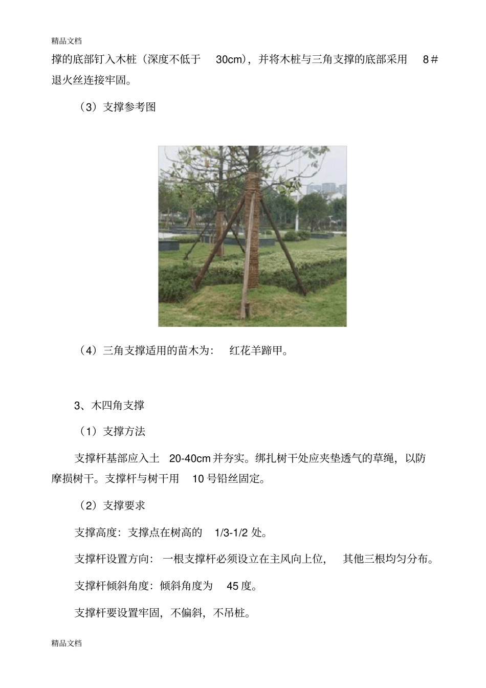 绿化支撑方案知识讲解_第3页