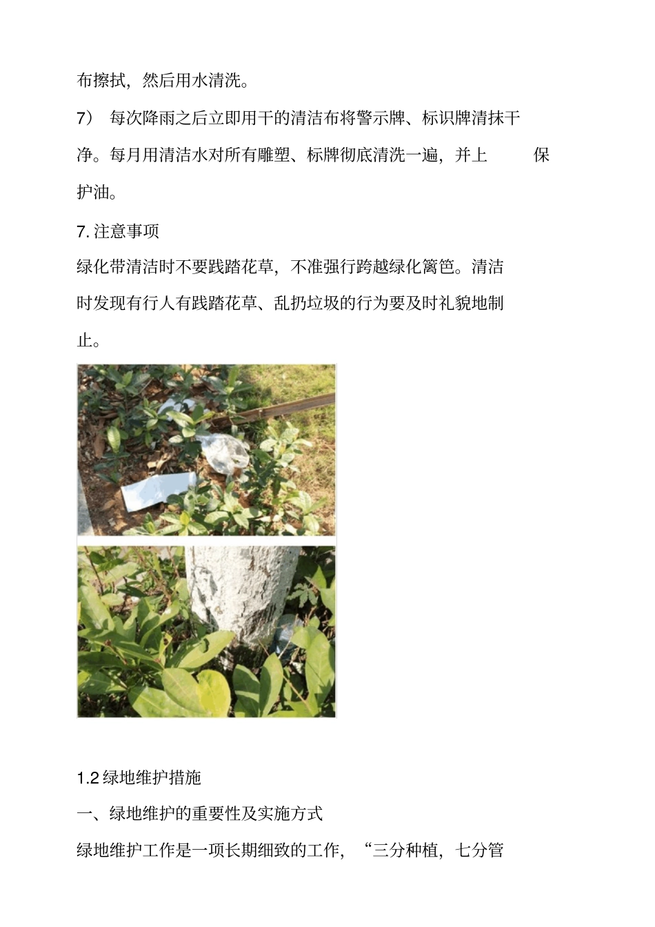 绿地保洁及维护方案_第3页
