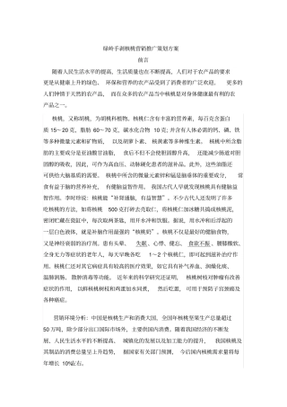绿岭核桃营销方案