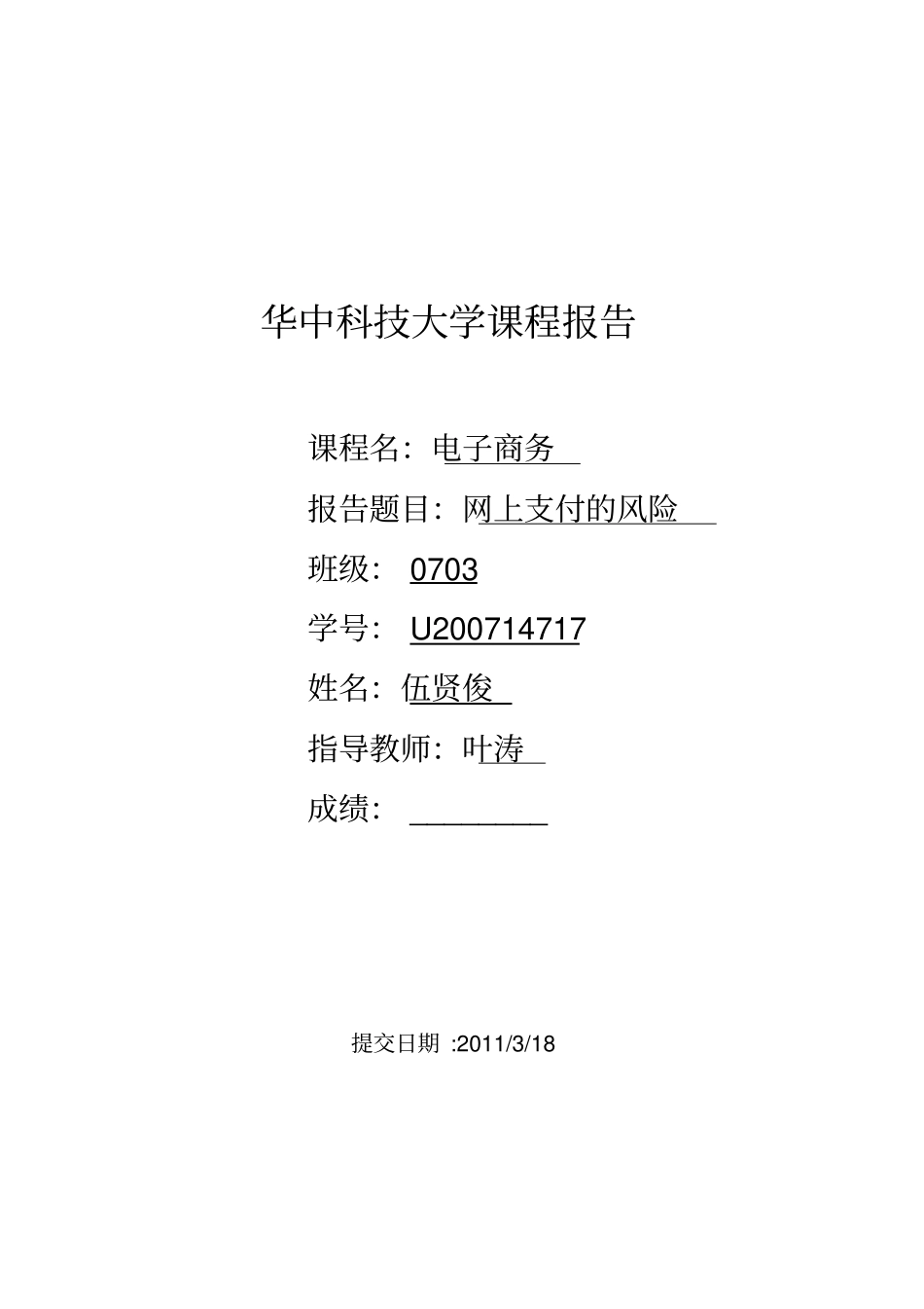 网上支付的风险-课程报告_第1页