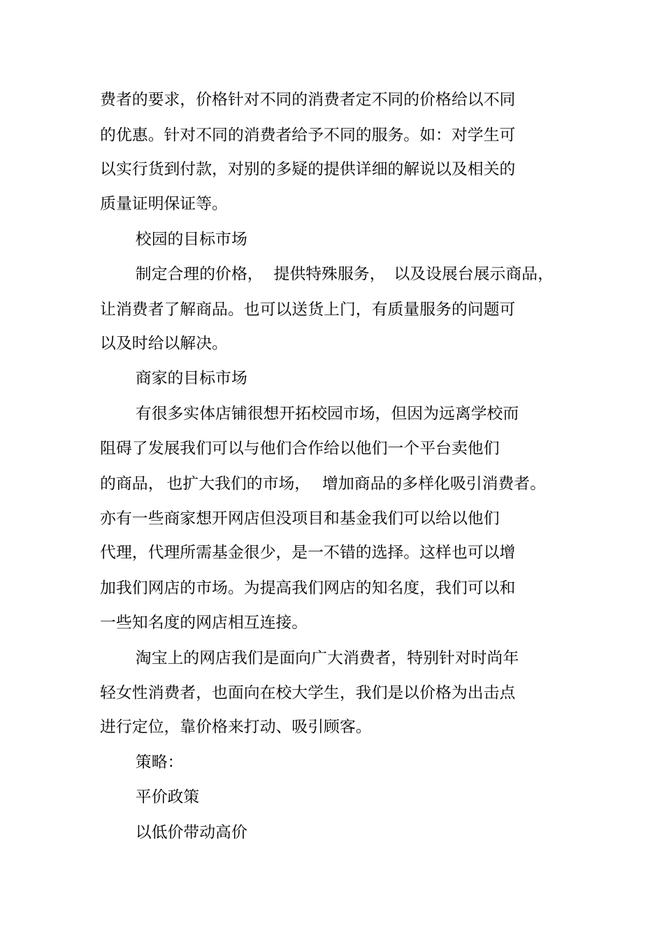 网店运营方案设计_第3页