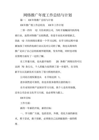 网络推广年工作总结与计划