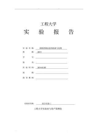 网络营销试验报告一