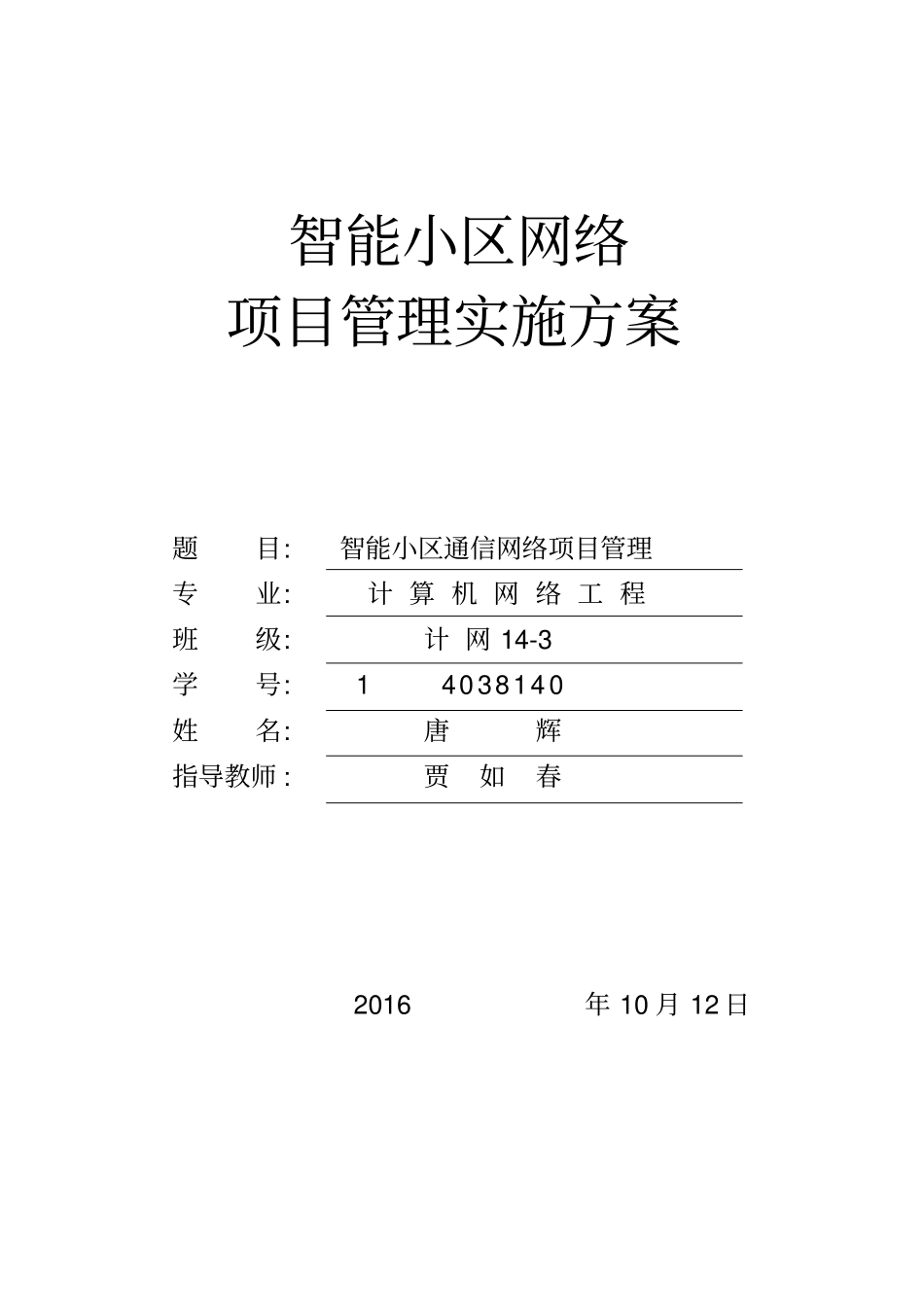 网络项目管理方案资料_第1页