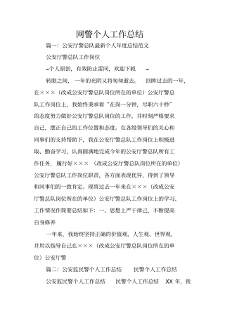 网警个人工作总结
