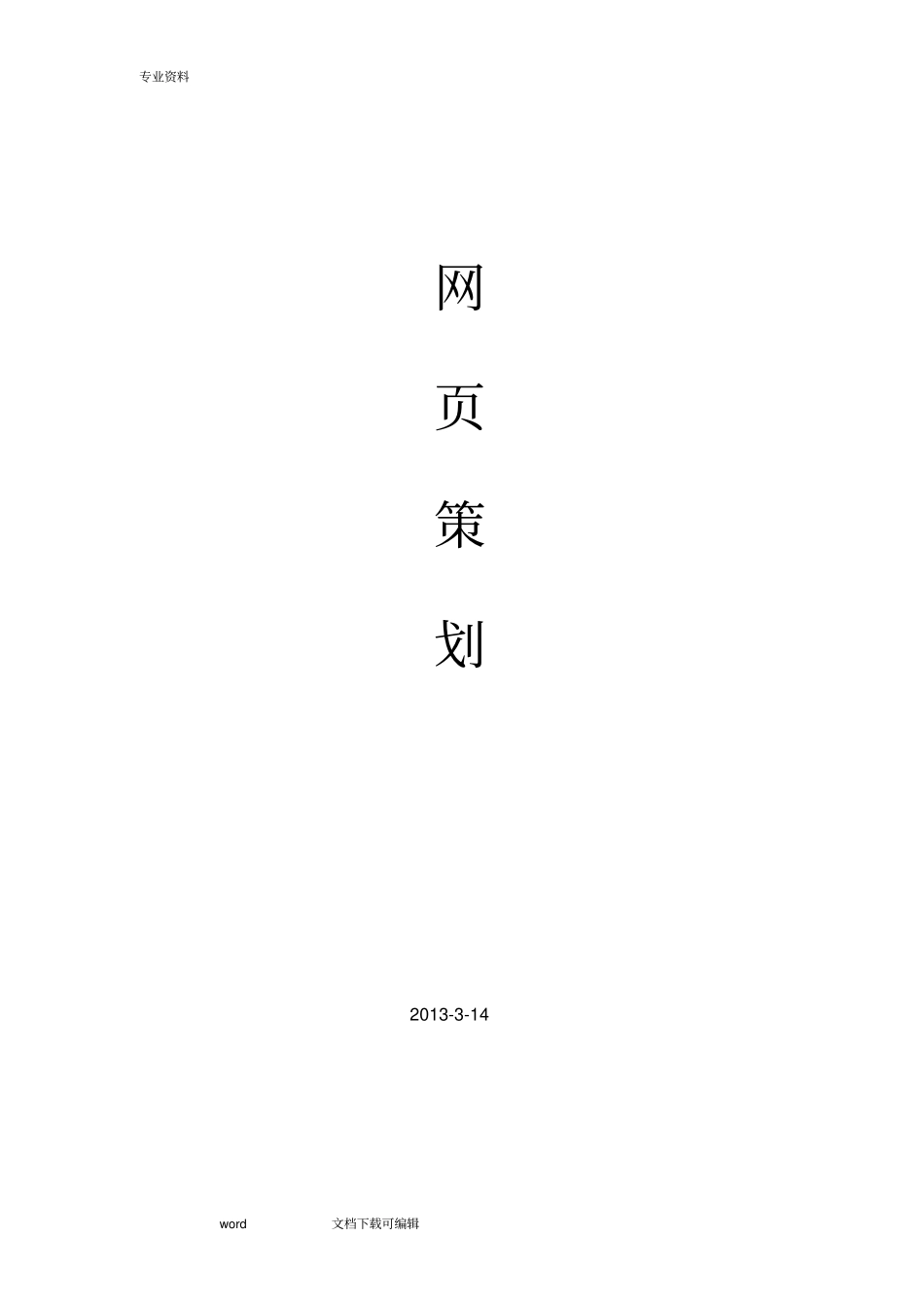 网项目策划书_第1页