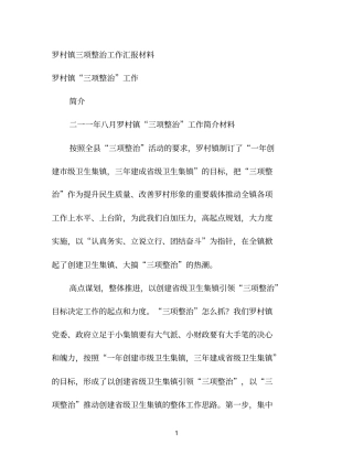 罗村镇三项整治工作汇报材料