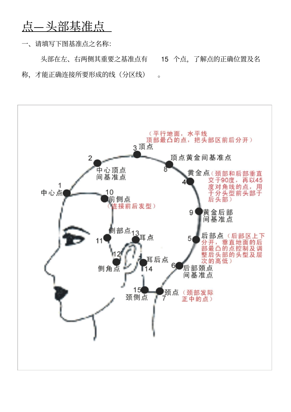 美发基础点线面_第1页