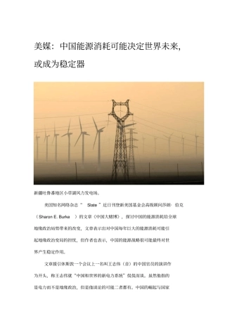 美媒：中国能源消耗可能决定世界未来,或成为稳定器