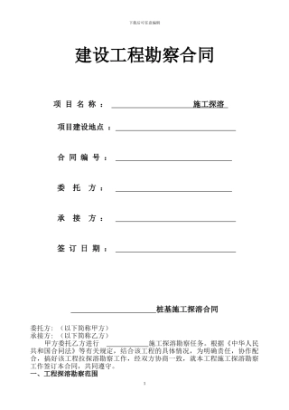 桩基探溶检测合同