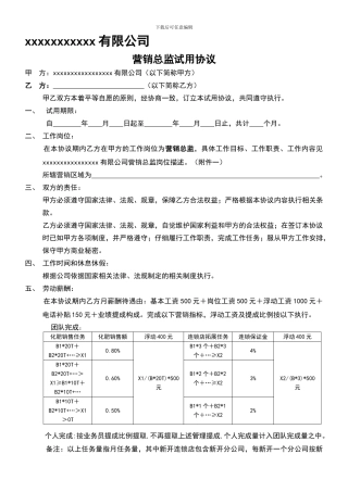 营销总监试用协议