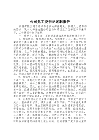 公司党工委书记述职报告